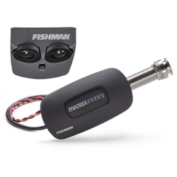 Fishmann Matrix infinity VT...