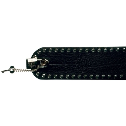 DiMarzio DD2100N GuitarLock...