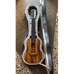PONO - UKULELE CONCERT - USATO