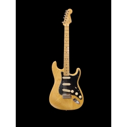 Fender stratocaster...